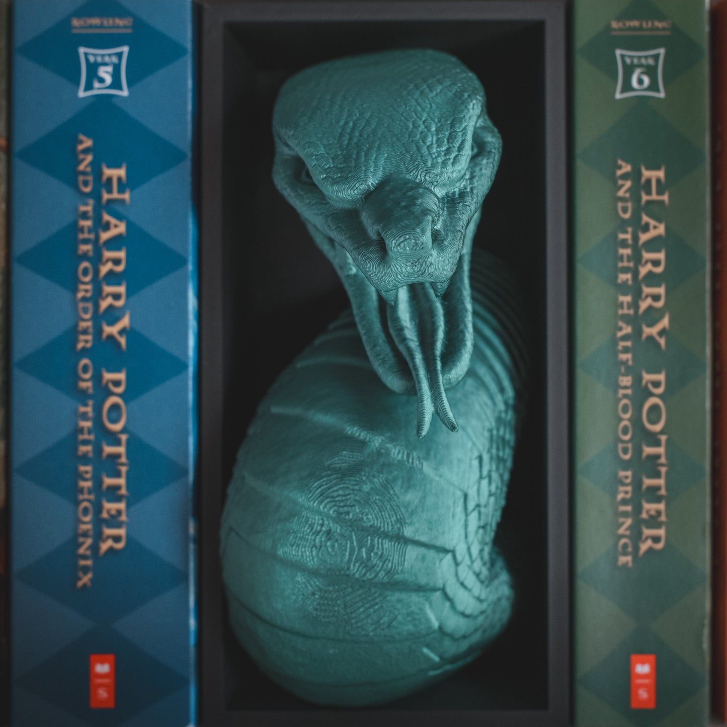 House Snake Book Nook